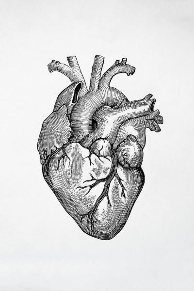 musica para eletivas